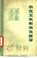 杂交玉米和杂交高梁   1974  PDF电子版封面  16071·6  北京市农业科学院研究所编 