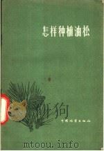 怎样种植油松   1956  PDF电子版封面  T16046·136  潘志刚编著 