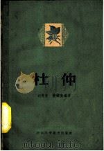 杜仲   1961  PDF电子版封面  16162·131  胡笃敬，杨镇衡编著 