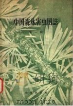 中国森林害虫图志  第1辑   1959  PDF电子版封面  16031·139  中国科学院昆虫研究所主编 