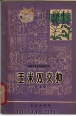 玉米双交种   1965  PDF电子版封面  16071·71  李竞雄编 