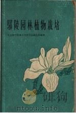 鄢陵园林植物栽培   1960  PDF电子版封面  16144·855  北京林学院城市及居民区绿化系编著 