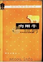 肉用牛   1978  PDF电子版封面  16031·53  华北农业大学畜牧系编 