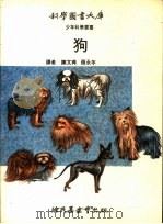 狗   1971  PDF电子版封面    陈文典，张永年译 