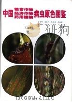 中国粮食作物、经济作物、药用植物病虫原色图鉴  中国粮食作物病虫原色图鉴（1999 PDF版）