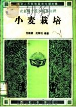 小麦栽培   1982  PDF电子版封面  16144·2446  沈煜清，沈黎明编著 