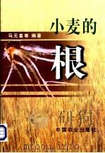 小麦的根   1999  PDF电子版封面  7109057984  马元喜等编著 
