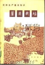 薯类栽培   1973  PDF电子版封面  16144·1641  农业出版社编 