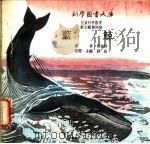 蓝鲸   1975  PDF电子版封面    刘拓主编 