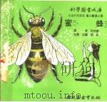 蜜蜂   1975  PDF电子版封面    刘拓主编 