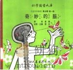 奇妙的脑   1975  PDF电子版封面    刘拓主编 