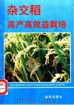 杂交稻高产高效益栽培（1995 PDF版）
