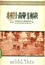 水稻小苗带土移栽   1971  PDF电子版封面  16144·1587  浙江省革命委员会生产指挥组农林局，浙江省农业科学院革命委员会 