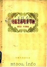 晚稻怎样培育旱秧   1958  PDF电子版封面  T16102·89  魏礼余，李信辉编 