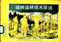 植树造林技术图说   1985  PDF电子版封面  16046·1263  中国林学会主编；宋朝框编 