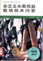 杂交玉米高效益栽培技术问答   1995  PDF电子版封面  7110039781  吴景锋主编 
