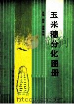 玉米穗分化图册   1986  PDF电子版封面  16144·3180  王瑛，陈冲，尉德铭编 