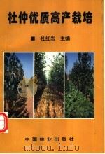 杜仲优质高产栽培   1996  PDF电子版封面  7503817399  杜红岩主编 