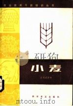 小麦   1983  PDF电子版封面  16051.1008  王经武等编 