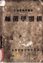 细菌学图谱   1951  PDF电子版封面    魏曦编 