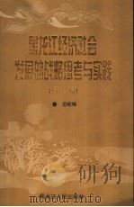 黑龙江经济社会发展的战略思考与实践   1997  PDF电子版封面  7207036981  岳岐峰著 