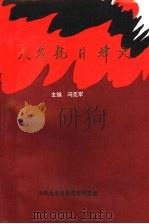 大名抗日烽火   1997  PDF电子版封面    中共大名县委党史研究室 