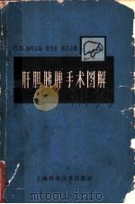 肝胆脾胰手术图解   1962  PDF电子版封面  14119·1064  浦司妥（C.B.Puestow）著；曹德生，蒋吕品译 