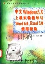 中文Windows 3.X上机实验指导与Word 6.0、Excel5.0使用经验   1998  PDF电子版封面  7801243978  王路敬等编著 