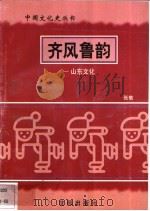 齐风鲁韵-山东文化   1997  PDF电子版封面  7544107140  张敏编著 