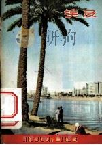 埃及   1956  PDF电子版封面    冯之丹著；炜克，王惟绘图 