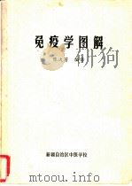 免疫学图解   1983  PDF电子版封面    陈次芳编译 
