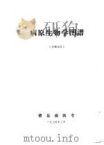 病原生物学图谱   1974  PDF电子版封面    晋工南医专 