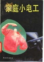 家庭小电工   1992  PDF电子版封面  7504819492  纪宝仁主编 