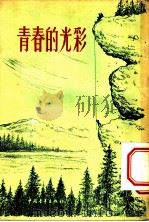 青春的光彩   1955  PDF电子版封面    本社编 