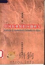 中国农业保护问题研究   1999  PDF电子版封面  710906123X  潘盛洲著 