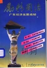 励精图治  广东经济发展揭秘   1992  PDF电子版封面  7535910483  王廉著 