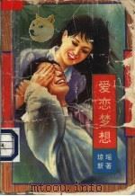 爱恋梦想（1993 PDF版）