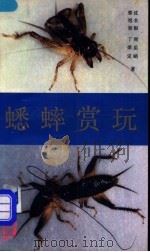 蟋蟀赏玩（1988 PDF版）