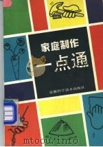 家庭制作一点通   1990  PDF电子版封面  7533706022  陈淮民，陈士斌编著 