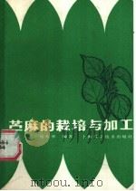 苎麻的栽培与加工   1987  PDF电子版封面  16119·956  杨木林编著 