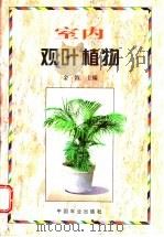 室内观叶植物   1998  PDF电子版封面  7109049485  金波主编 