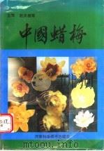 中国蜡梅   1993  PDF电子版封面  7534913632  赵天榜等主编 