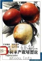 枣树丰产栽培图说   1997  PDF电子版封面  7503817291  毛永民主编 