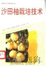 沙田柚栽培技术   1992  PDF电子版封面  7535910149  吴坤用等编著 