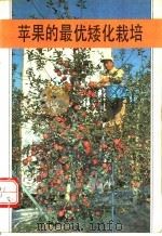 苹果的最优矮化栽培   1991  PDF电子版封面  7533706455  （日）永田正夫原著；蒋康众，蔡传书译 