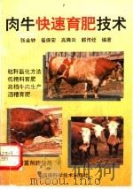肉牛快速育肥技术   1994  PDF电子版封面  7534914272  张金钟等编著 
