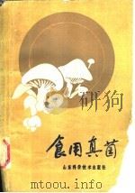 食用真菌   1986  PDF电子版封面  16195·149  卢青达 
