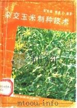 杂交玉米制种技术   1991  PDF电子版封面  7533706706  钱章强，樊贵义编著 