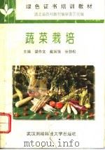 蔬菜栽培   1996  PDF电子版封面  7810304585  望作文等主编 