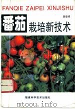番茄栽培新技术   1996  PDF电子版封面  7533510577  黄碧琦编著 